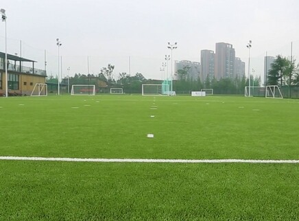 足球场为何不能使用人造草皮？