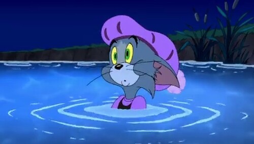 猫和老鼠：罗宾汉和他的机灵鼠 1集