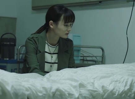 可惜不是你 12集