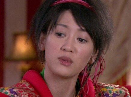 春光灿烂猪九妹 26集