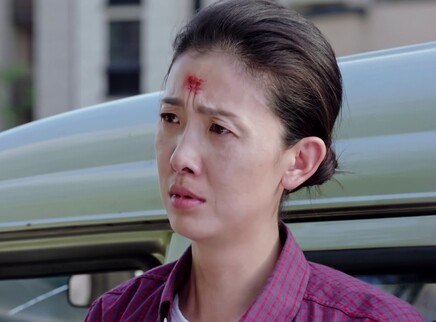 如果，爱 13集