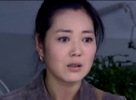 胡杨女人 23集