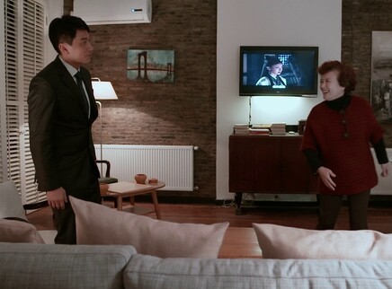 格子间女人 DVD版 8集