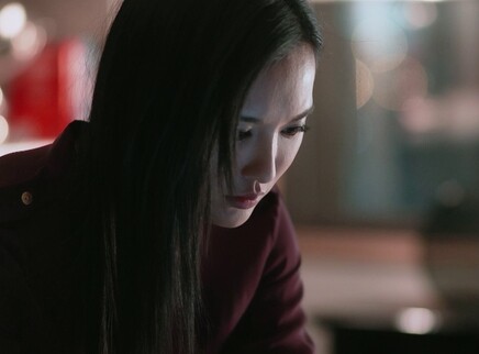 格子间女人 DVD版 10集