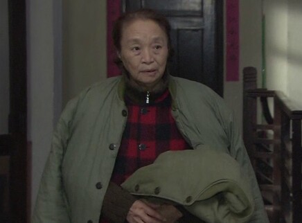 婚姻之痒 8集