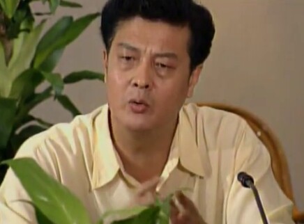 英雄无悔 24集