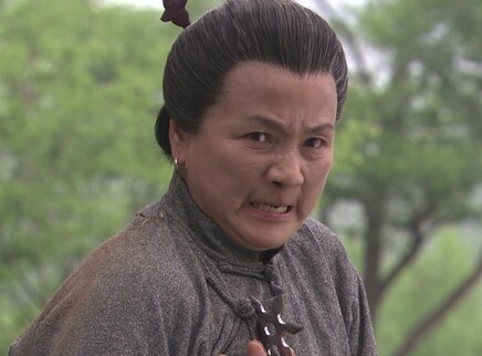 自古英雄出少年 11集