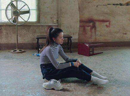 哪里有彩虹告诉我 24集
