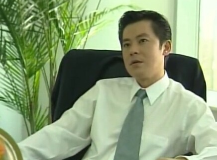 完全婚姻手册 20集