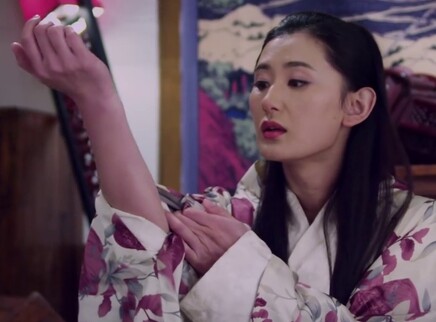 新燕子李三 27集