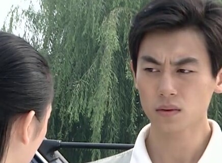 非亲兄弟 17集