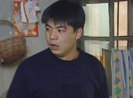 庄稼院里的年轻人 11集
