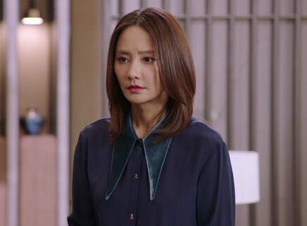 只为遇见你 DVD版 48集