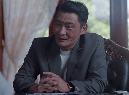 少年派 DVD版 33集