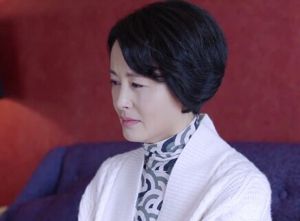 我和我的儿女们 17集