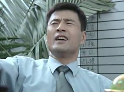 爸爸叫红旗 29集