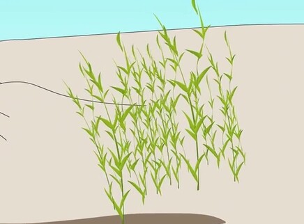 小笨熊之唐诗三百首 10集