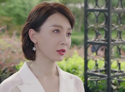 斯黛拉的反击 16集
