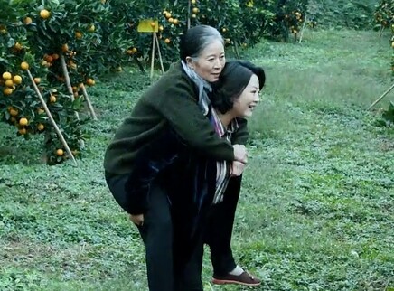 月是故乡明 17集