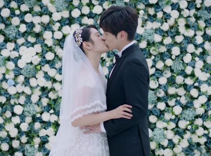 完美先生和差不多小姐 念书夫妇宠爱版 5集