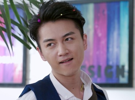舒克与桃花 17集