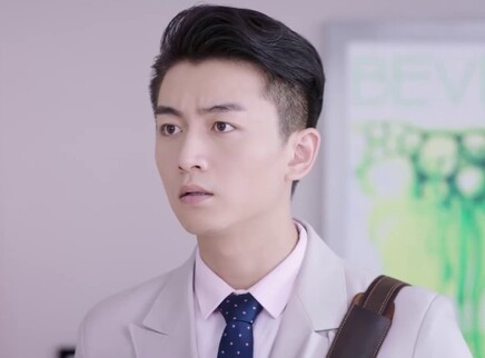 舒克与桃花 24集