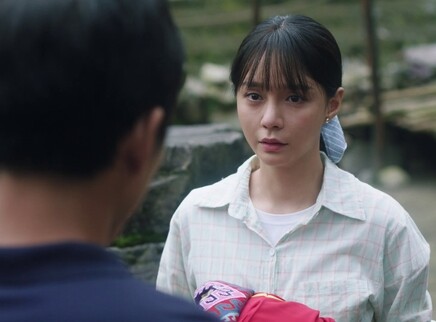 江山如此多娇 DVD版 10集