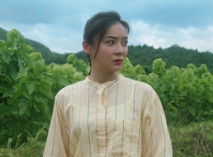 江山如此多娇 DVD版 15集