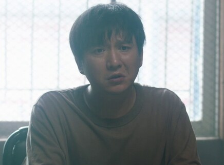 江山如此多娇 DVD版 27集