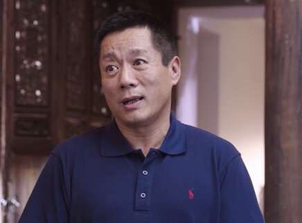 舒克与桃花 9集