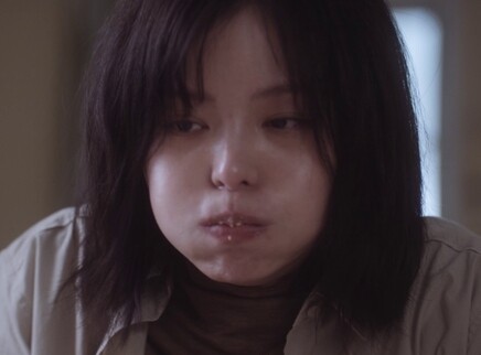 别惹白鸽 10集