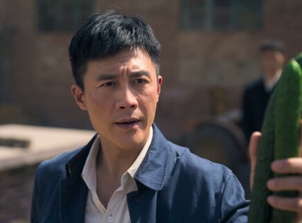 理想照耀中国 DVD版 17集