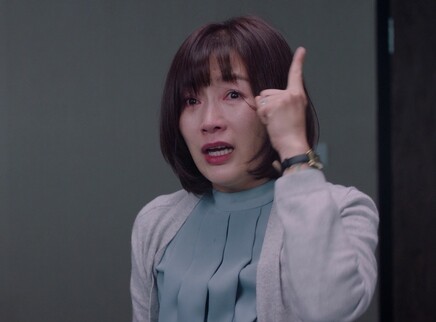 幸福二重奏 24集