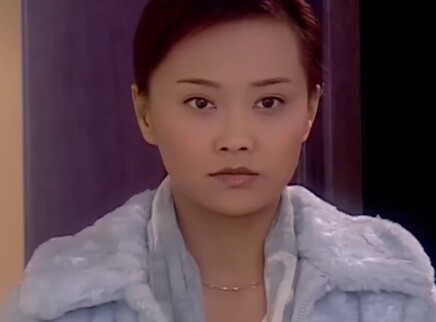 铁拳浪子 28集