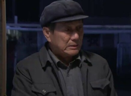 绿野 2集