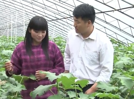 东西两庄 14集