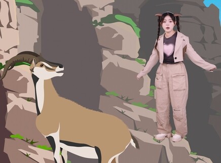 果小喵之奇妙动物 12集
