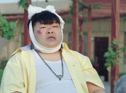 法网追凶 8集