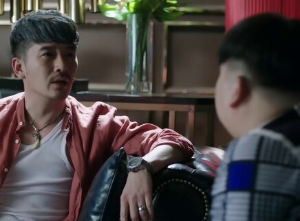 法网追凶 15集