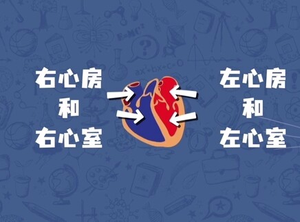 问号猫 第二季 9集