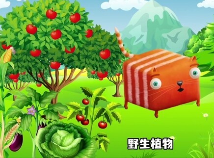 问号猫 第二季 16集