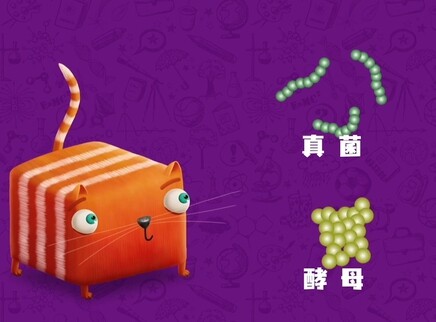 问号猫 第二季 18集
