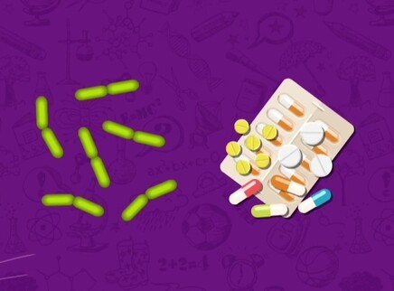 问号猫 第二季 20集