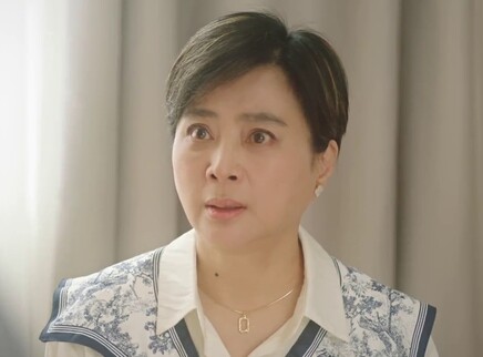 大妈的世界 贺岁篇 17集