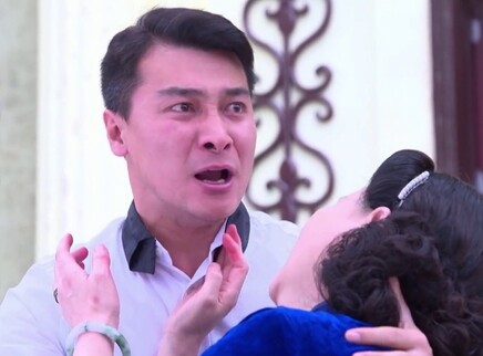 虎胆神鹰 30集