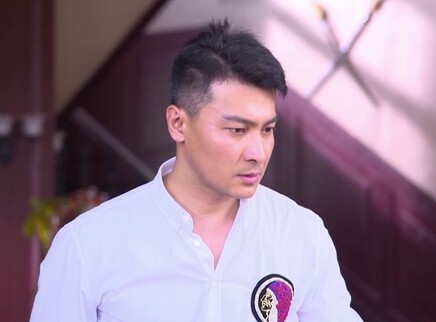 虎胆神鹰 13集