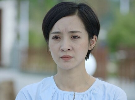 绿水青山好日子 13集